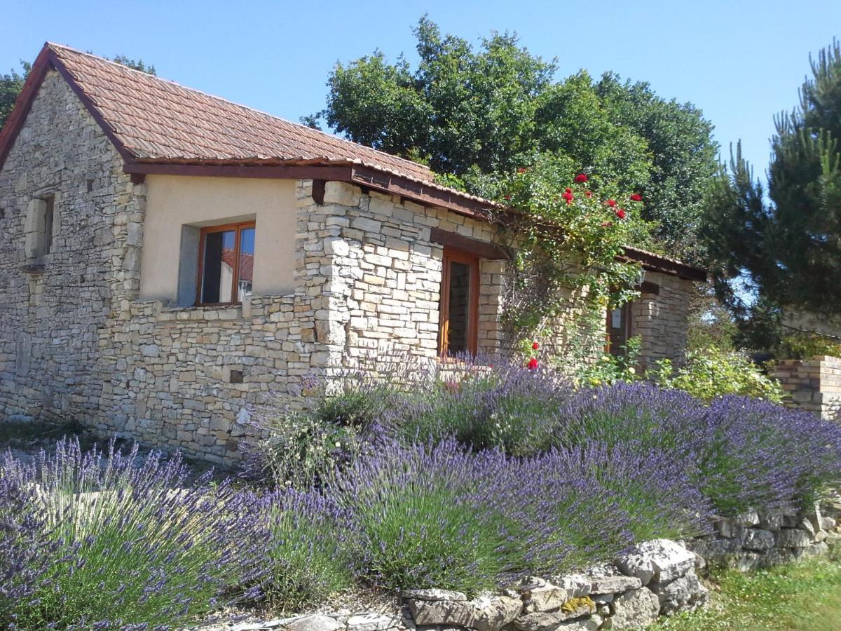 Вилла Le Hameau Des Cardenals Salviac Экстерьер фото